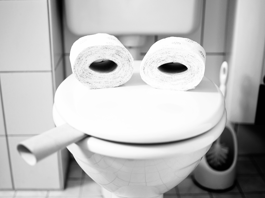 Toilet bowl frog