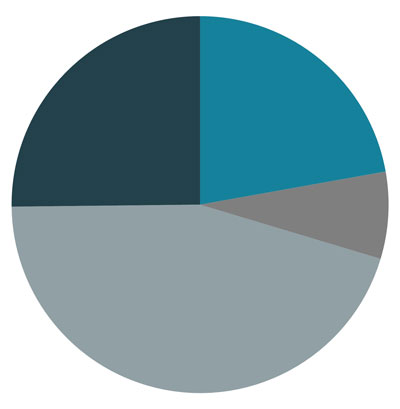 Pie chart showing current allocation among the four macro asset classes