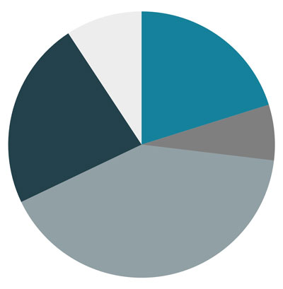 Pie chart showing current allocation among the four macro asset classes including cash