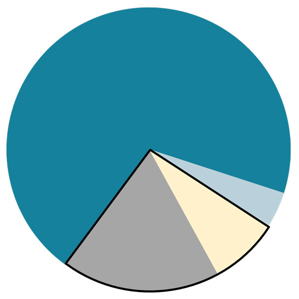 Pie chart illustrating Blueprint positioning during an inflationary environment