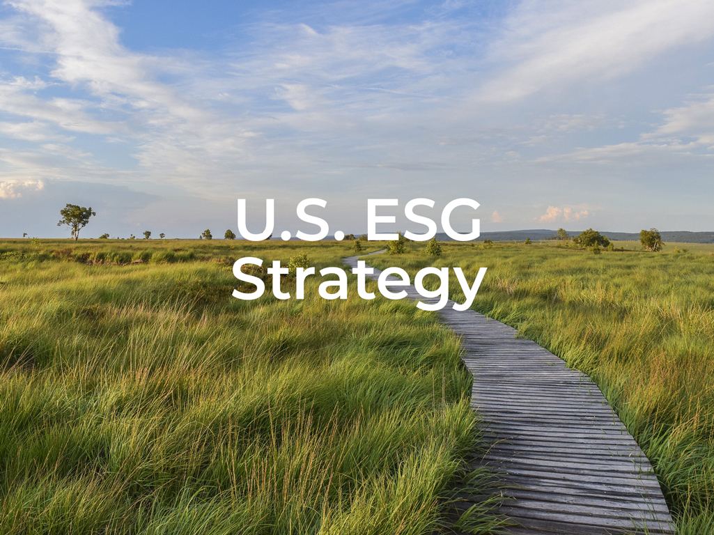 Blueprint Investment Partners U.S. ESG Select Strategy visual