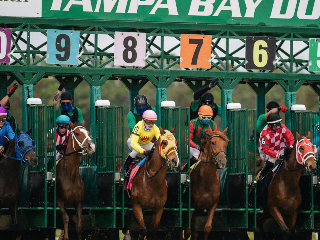 Starting gate at horse race