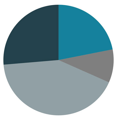 Pie chart showing current allocation among the four macro asset classes