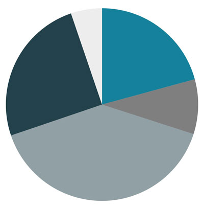 Pie chart showing current allocation among the four macro asset classes including cash