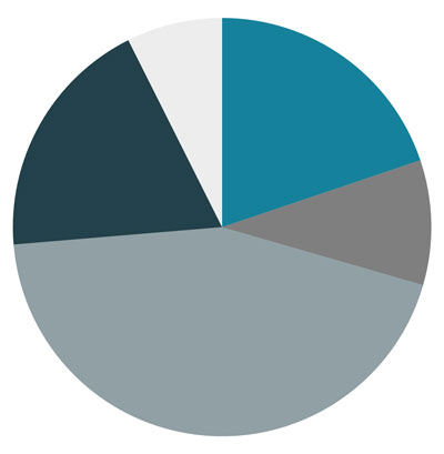 Pie chart showing current allocation among the four macro asset classes including cash
