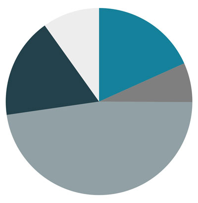 Pie chart showing current allocation among the four macro asset classes including cash