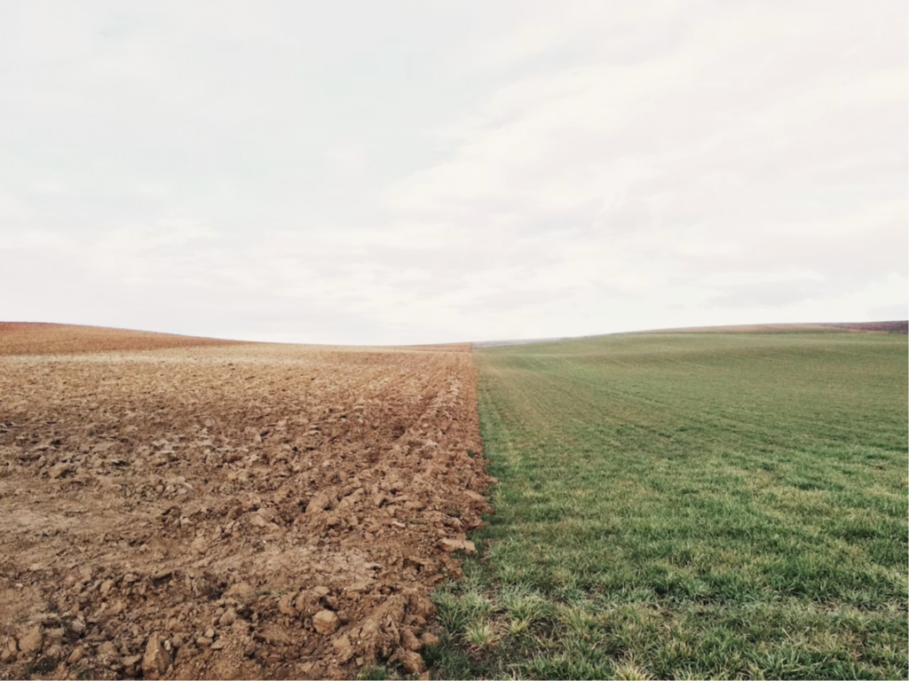 Green field alongside brown field