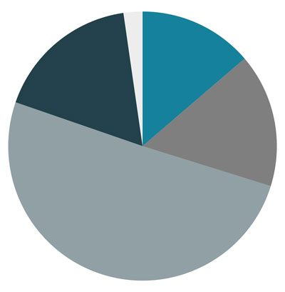 Pie chart showing current allocation among the four macro asset classes including cash