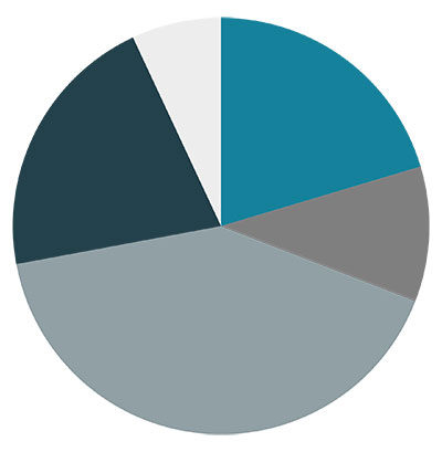 Pie chart showing current allocation among the four macro asset classes including cash