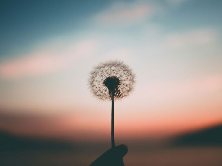 Asset Manager for Advisors Blueprint Investment Partners