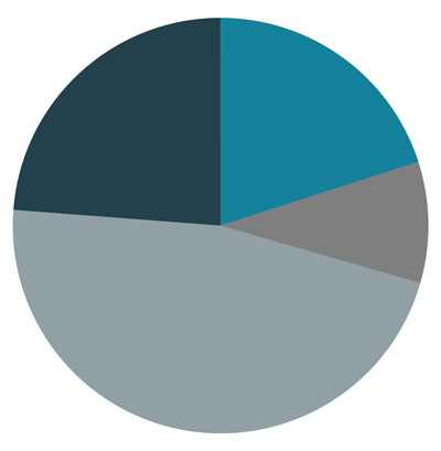 Pie chart showing current allocation among the four macro asset classes