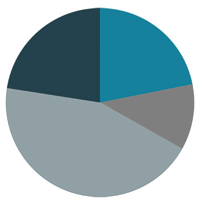 Pie chart showing current allocation among the four macro asset classes
