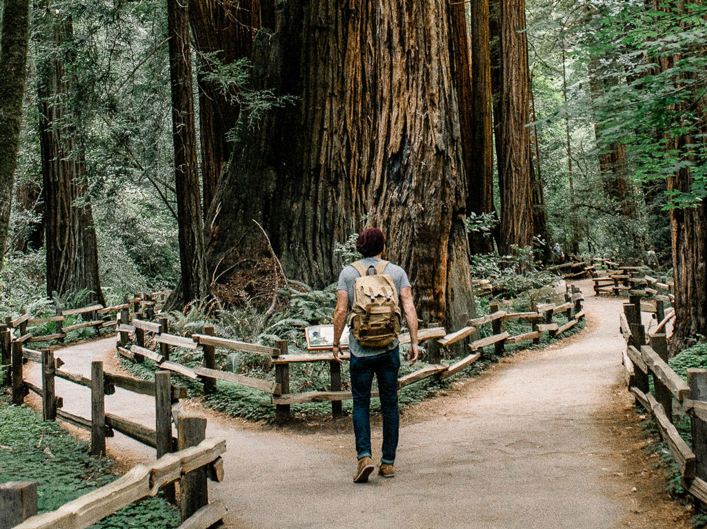 Hiker approaching diverging trails