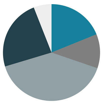 Pie chart showing current allocation among the four macro asset classes including cash
