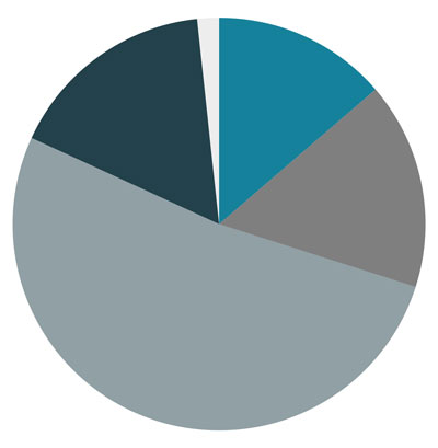 Pie chart showing current allocation among the four macro asset classes including cash